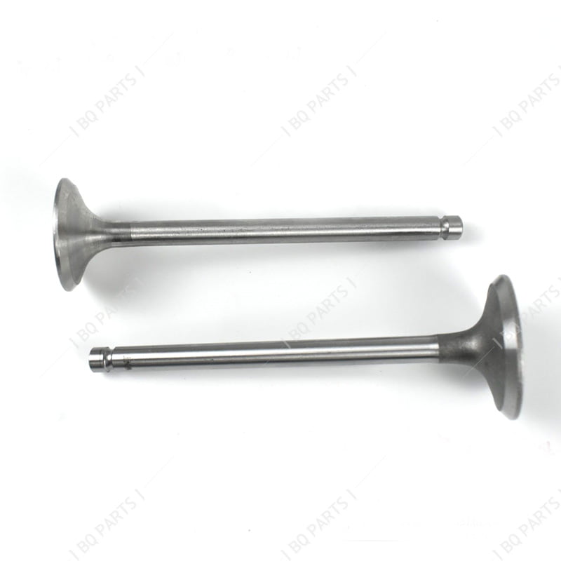yangdong engine valves